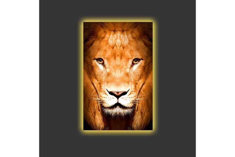 Canvas-taulu LED-valaistuksella - Majesteettinen leijonanpää lähikuvassa - Kulta / Ruskea / Musta - Sisustustuotteet - Taulu & taide - Canvas-taulu