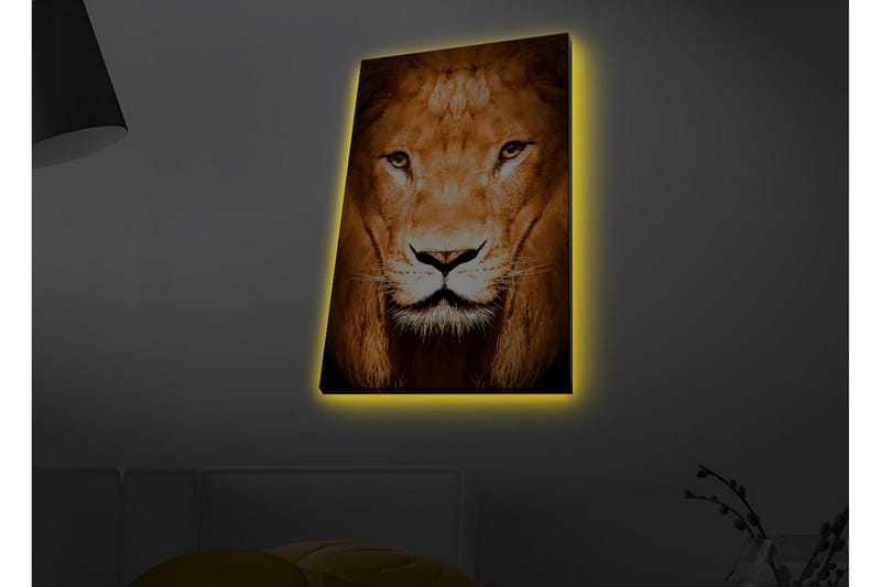 Canvas-taulu LED-valaistuksella - Majesteettinen leijonanpää lähikuvassa, Kulta / Ruskea / Musta
