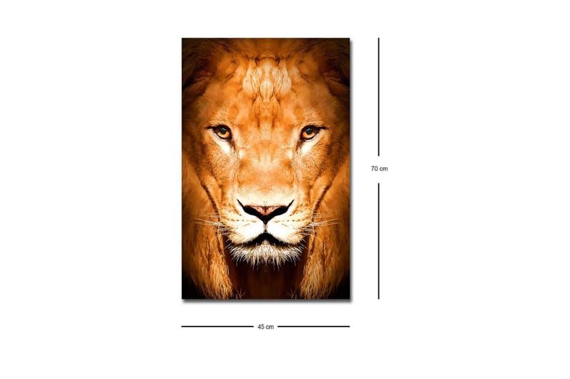 Canvas-taulu LED-valaistuksella - Majesteettinen leijonanpää lähikuvassa - Kulta / Ruskea / Musta - Sisustustuotteet - Taulu & taide - Canvas-taulu
