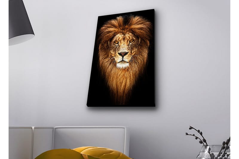 Canvas-taulu LED-valaistuksella - Majesteettinen leijonanpää majesteettisella harjalla - Kulta / Musta / Ruskea - Sisustustuotteet - Taulu & taide - Canvas-taulu