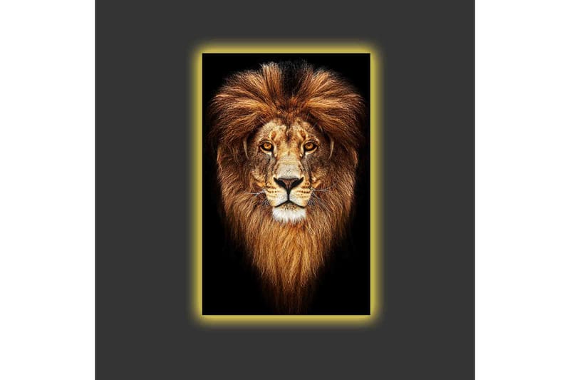 Canvas-taulu LED-valaistuksella - Majesteettinen leijonanpää majesteettisella harjalla - Kulta / Musta / Ruskea - Sisustustuotteet - Taulu & taide - Canvas-taulu
