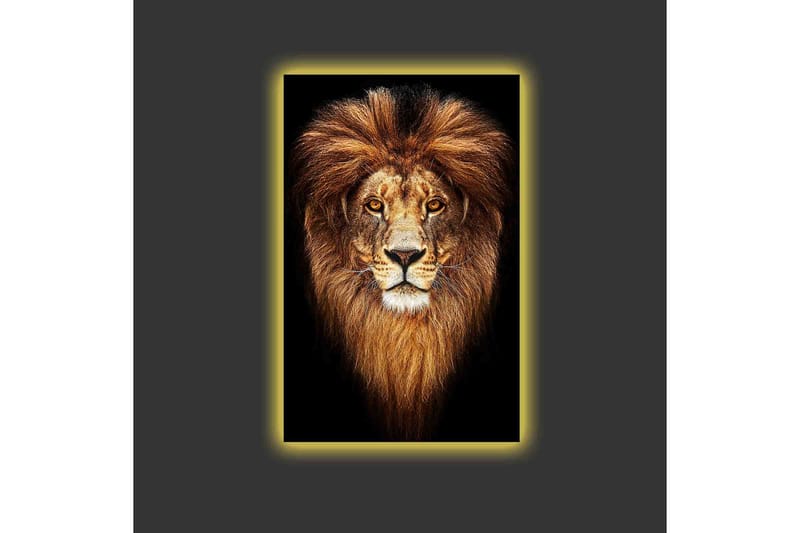 Canvas-taulu LED-valaistuksella - Majesteettinen leijonanpää majesteettisella harjalla - Kulta / Musta / Ruskea - Sisustustuotteet - Taulu & taide - Canvas-taulu