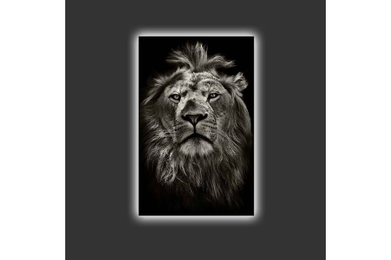 Canvas-taulu LED-valaistuksella - Majesteettinen leijonanpää mustavalkoinen - Musta / Harmaa - Sisustustuotteet - Taulu & taide - Canvas-taulu