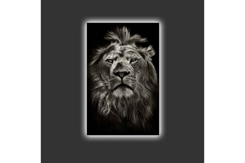 Canvas-taulu LED-valaistuksella - Majesteettinen leijonanpää mustavalkoinen - Musta / Harmaa - Sisustustuotteet - Taulu & taide - Canvas-taulu