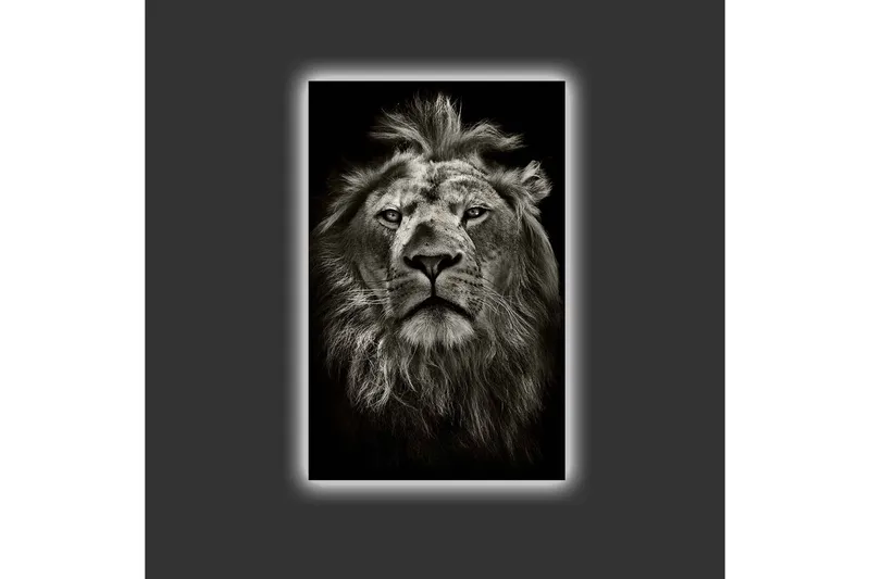 Canvas-taulu LED-valaistuksella - Majesteettinen leijonanpää mustavalkoinen - Musta / Harmaa - Sisustustuotteet - Taulu & taide - Canvas-taulu
