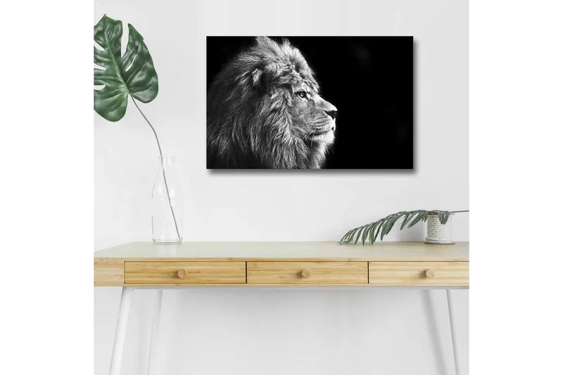 Canvas-taulu LED-valaistuksella - Majesteettinen mustavalkoinen leijonaprofiili, Musta / Harmaa