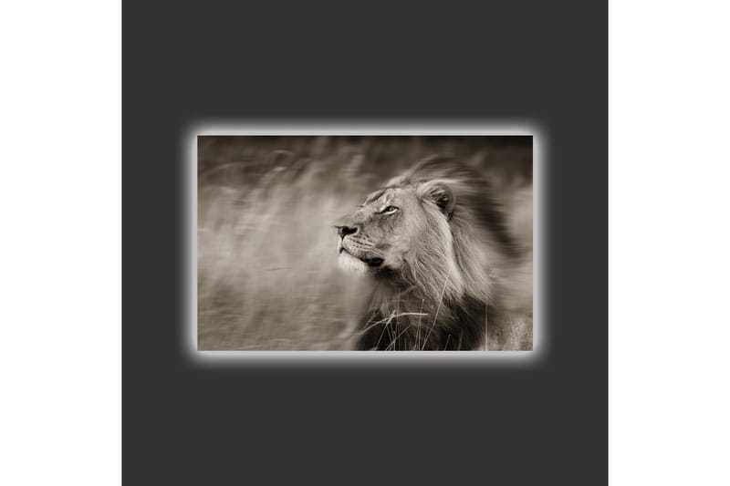 Canvas-taulu LED-valaistuksella - Majesteettinen mustavalkoinen leijonaprofiili - Musta / Harmaa - Sisustustuotteet - Taulu & taide - Canvas-taulu