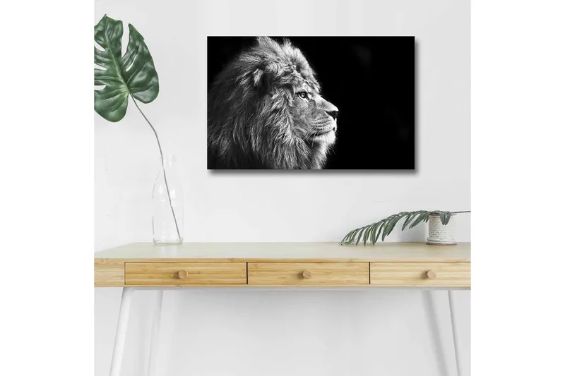 Canvas-taulu LED-valaistuksella - Majesteettinen mustavalkoinen leijonaprofiili, Musta / Harmaa