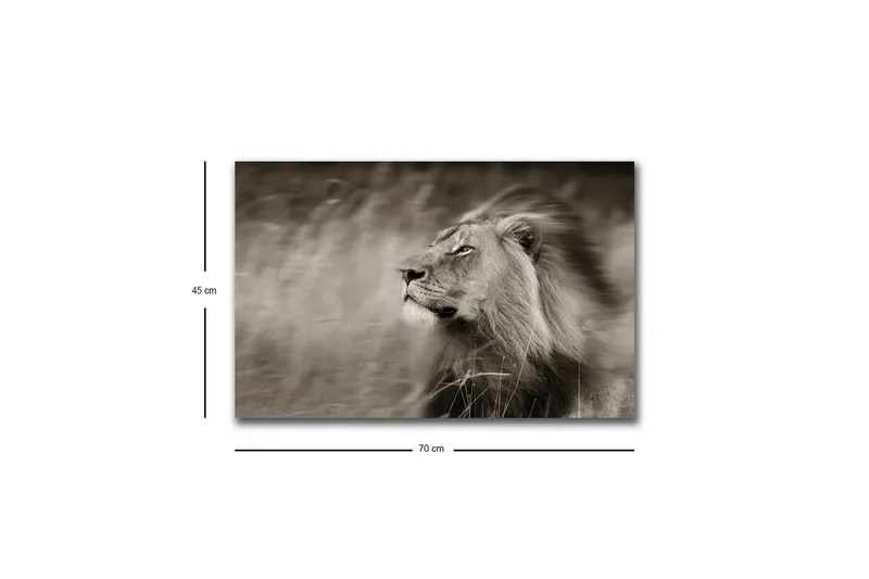 Canvas-taulu LED-valaistuksella - Majesteettinen mustavalkoinen leijonaprofiili - Musta / Harmaa - Sisustustuotteet - Taulu & taide - Canvas-taulu