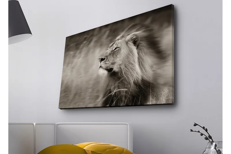 Canvas-taulu LED-valaistuksella - Majesteettinen mustavalkoinen leijonaprofiili - Musta / Harmaa - Sisustustuotteet - Taulu & taide - Canvas-taulu