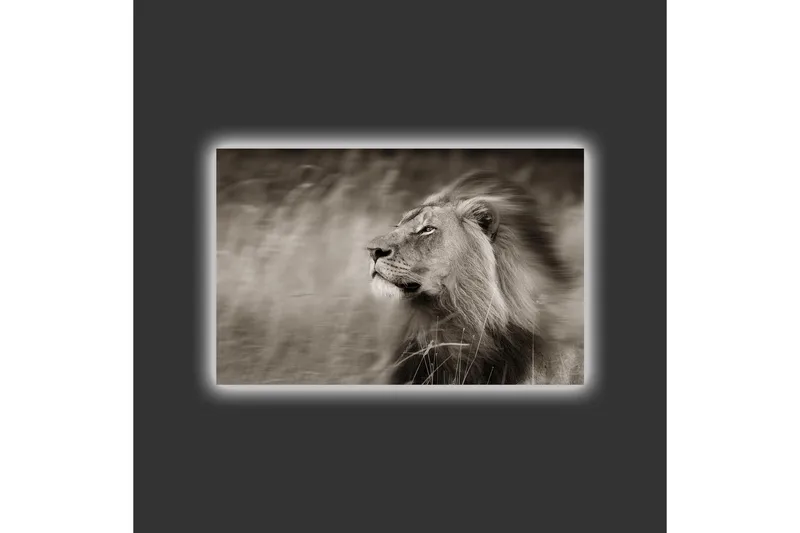 Canvas-taulu LED-valaistuksella - Majesteettinen mustavalkoinen leijonaprofiili - Musta / Harmaa - Sisustustuotteet - Taulu & taide - Canvas-taulu