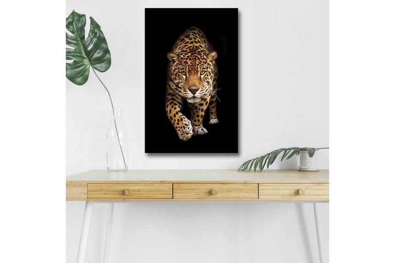 Canvas-taulu LED-valaistuksella - Metsästävä jaguaari tarkennuksessa, Kulta / Musta / Valkoinen
