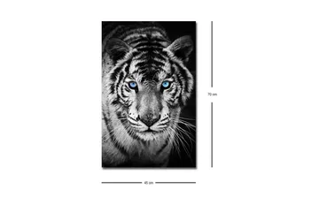 Canvas-taulu LED-valaistuksella - Muotokuva valkoisesta tiikeristä sinisilmäisillä - Musta / Valkoinen / Sininen - Sisustustuotteet - Taulu & taide - Canvas-taulu