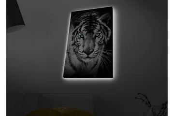 Canvas-taulu LED-valaistuksella - Muotokuva valkoisesta tiikeristä sinisilmäisillä - Musta / Valkoinen / Sininen - Sisustustuotteet - Taulu & taide - Canvas-taulu