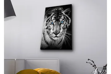Canvas-taulu LED-valaistuksella - Muotokuva valkoisesta tiikeristä sinisilmäisillä - Musta / Valkoinen / Sininen - Sisustustuotteet - Taulu & taide - Canvas-taulu