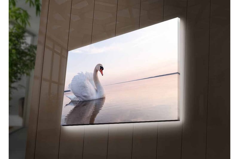 Canvas-taulu LED-valaistuksella - Musta joutsen ui tyynessä vedessä - Valkoinen / Harmaa / Vaaleansininen - Sisustustuotteet - Taulu & taide - Canvas-taulu