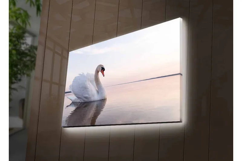 Canvas-taulu LED-valaistuksella - Musta joutsen ui tyynessä vedessä - Valkoinen / Harmaa / Vaaleansininen - Sisustustuotteet - Taulu & taide - Canvas-taulu