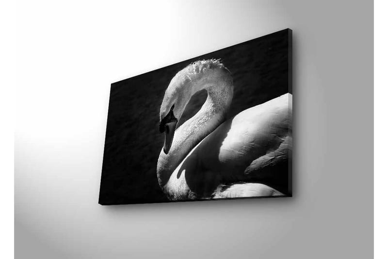 Canvas-taulu LED-valaistuksella - mustavalkoinen joutsen elegantissa asennossa - Musta / Valkoinen - Sisustustuotteet - Taulu & taide - Canvas-taulu