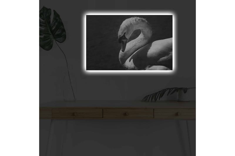Canvas-taulu LED-valaistuksella - mustavalkoinen joutsen elegantissa asennossa - Musta / Valkoinen - Sisustustuotteet - Taulu & taide - Canvas-taulu