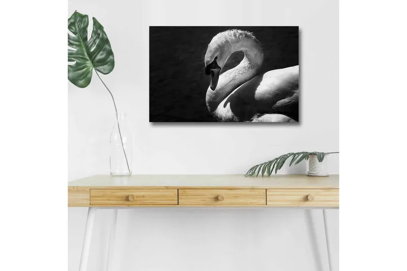 Canvas-taulu LED-valaistuksella - mustavalkoinen joutsen elegantissa asennossa, Musta / Valkoinen