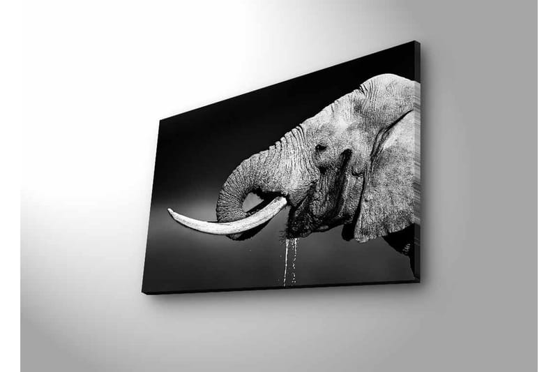 Canvas-taulu LED-valaistuksella - mustavalkoinen norsu roikkuvilla syöksyhampailla - Musta / Harmaa - Sisustustuotteet - Taulu & taide - Canvas-taulu