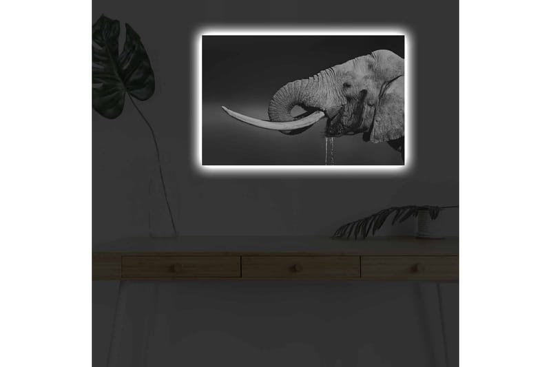 Canvas-taulu LED-valaistuksella - mustavalkoinen norsu roikkuvilla syöksyhampailla - Musta / Harmaa - Sisustustuotteet - Taulu & taide - Canvas-taulu