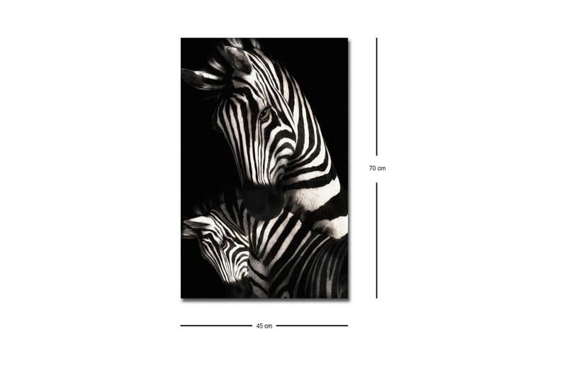 Canvas-taulu LED-valaistuksella - Mustavalkoiset seeprat erottuvilla raidoilla - Musta / Valkoinen - Sisustustuotteet - Taulu & taide - Canvas-taulu