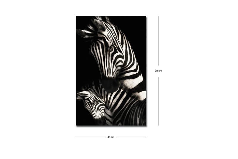 Canvas-taulu LED-valaistuksella - Mustavalkoiset seeprat erottuvilla raidoilla - Musta / Valkoinen - Sisustustuotteet - Taulu & taide - Canvas-taulu