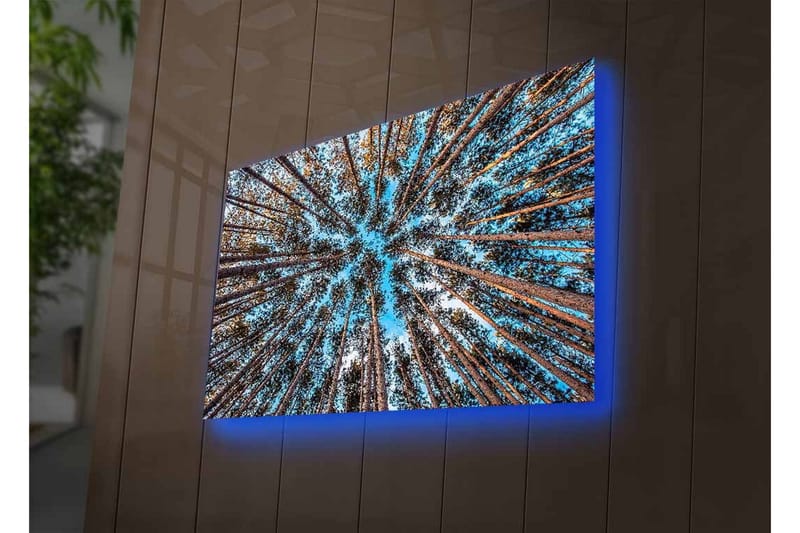 Canvas-taulu LED-valaistuksella - Näkymä ylöspäin puiden latvojen läpi metsässä - Sininen / Ruskea / Vihreä - Sisustustuotteet - Taulu & taide - Canvas-taulu