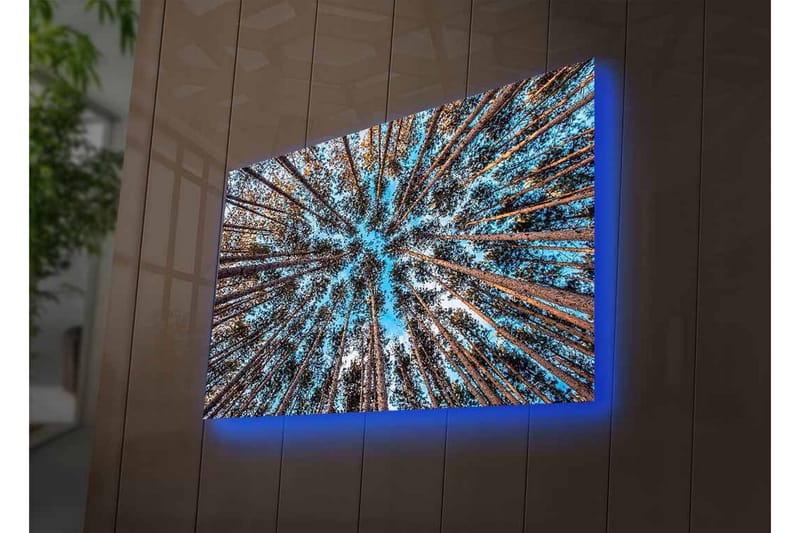 Canvas-taulu LED-valaistuksella - Näkymä ylöspäin puiden latvojen läpi metsässä - Sininen / Ruskea / Vihreä - Sisustustuotteet - Taulu & taide - Canvas-taulu