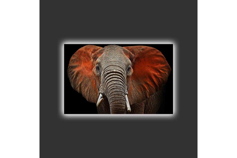 Canvas-taulu LED-valaistuksella - Norsu majesteettisine korvineen hillityissä väreissä - Harmaa / Punainen / Musta - Sisustustuotteet - Taulu & taide - Canvas-taulu