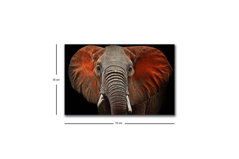 Canvas-taulu LED-valaistuksella - Norsu majesteettisine korvineen hillityissä väreissä - Harmaa / Punainen / Musta - Sisustustuotteet - Taulu & taide - Canvas-taulu