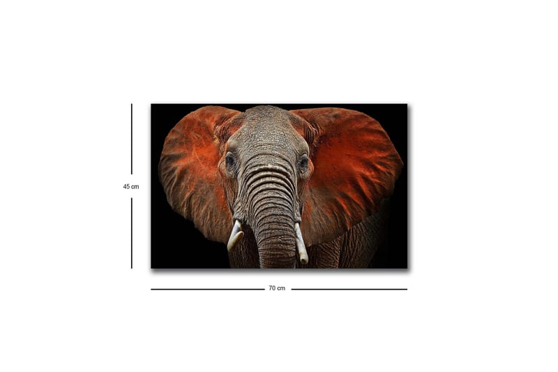 Canvas-taulu LED-valaistuksella - Norsu majesteettisine korvineen hillityissä väreissä - Harmaa / Punainen / Musta - Sisustustuotteet - Taulu & taide - Canvas-taulu