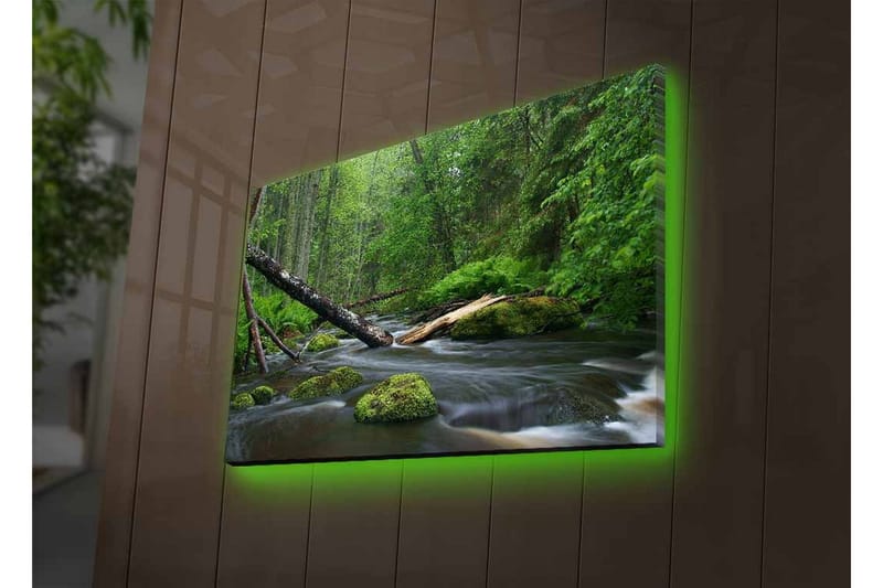 Canvas-taulu LED-valaistuksella - Rehevä metsä ja solina puro - Vihreä / Ruskea / Musta - Sisustustuotteet - Taulu & taide - Canvas-taulu