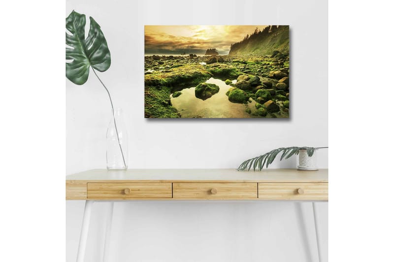 Canvas-taulu LED-valaistuksella - Rehevä rannikkomaisema kallioineen ja peilimäisine vesilammikoineen - Vihreä / Ruskea / Keltainen - Sisustustuotteet - Taulu & taide - Canvas-taulu