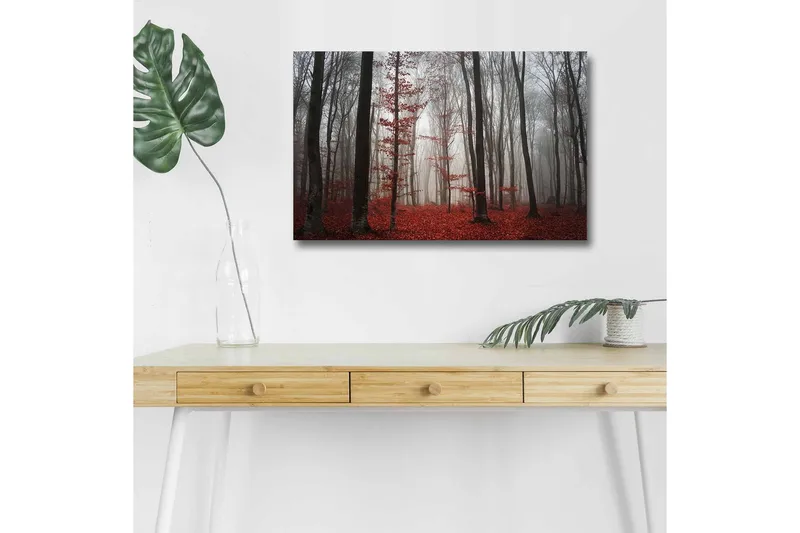 Canvas-taulu LED-valaistuksella - Sumuinen metsä punaisilla lehdillä ja korkeilla puilla, Punainen / Harmaa / Musta