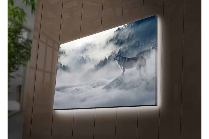 Canvas-taulu LED-valaistuksella - Susi sumuisessa metsäympäristössä - Harmaa / Sininen / Valkoinen - Sisustustuotteet - Taulu & taide - Canvas-taulu