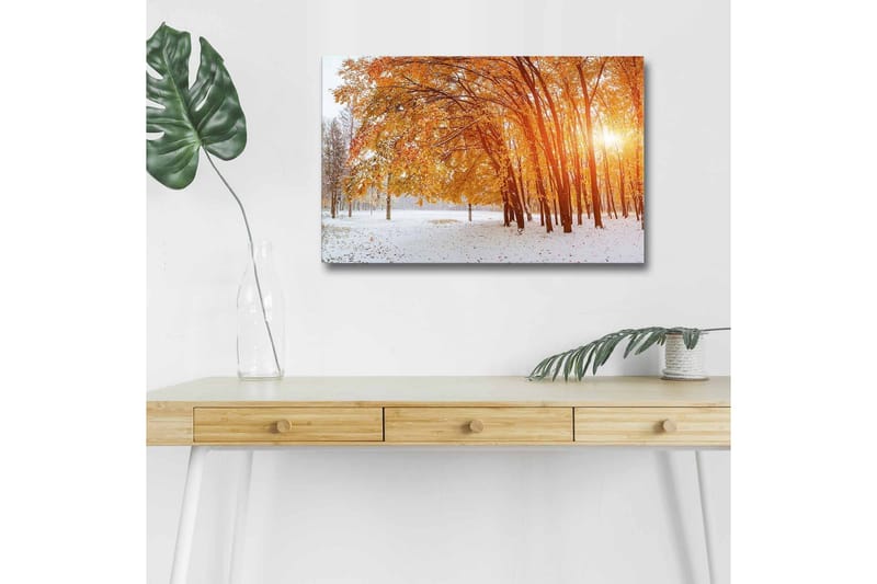 Canvas-taulu LED-valaistuksella - Syysmaisema kultaisten puiden kanssa lumisessa ympäristössä - Kulta / Valkoinen / Ruskea - Sisustustuotteet - Taulu & taide - Canvas-taulu