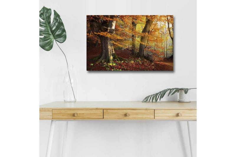 Canvas-taulu LED-valaistuksella - Syysmaisema värikkäillä puilla ja lehdillä - Oranssi / Ruskea / Vihreä - Sisustustuotteet - Taulu & taide - Canvas-taulu