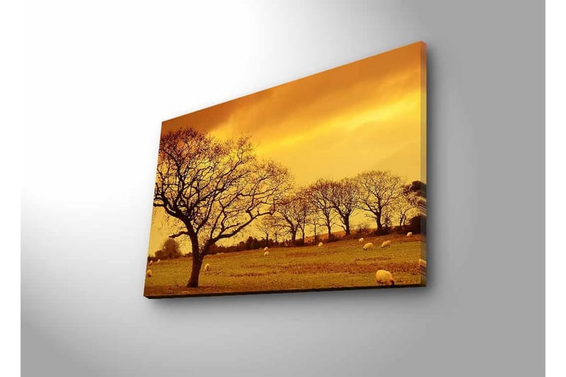 Canvas-taulu LED-valaistuksella - Tunnelmallinen maisemanäkymä puiden siluetteineen kultaista taivasta vasten - Kulta / Ruskea / Musta - Sisustustuotteet - Taulu & taide - Canvas-taulu