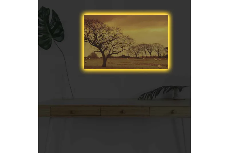 Canvas-taulu LED-valaistuksella - Tunnelmallinen maisemanäkymä puiden siluetteineen kultaista taivasta vasten - Kulta / Ruskea / Musta - Sisustustuotteet - Taulu & taide - Canvas-taulu