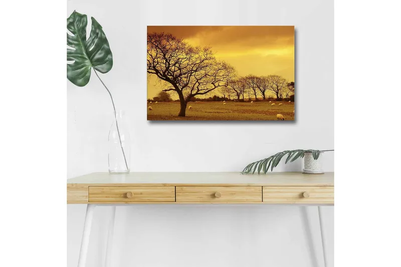 Canvas-taulu LED-valaistuksella - Tunnelmallinen maisemanäkymä puiden siluetteineen kultaista taivasta vasten, Kulta / Ruskea / Musta
