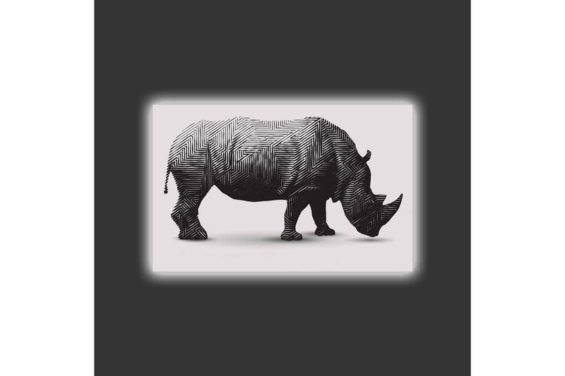 Canvas-taulu LED-valaistuksella - Tyylitelty sarvikuono mustavalkoisena - Musta / Valkoinen - Sisustustuotteet - Taulu & taide - Canvas-taulu