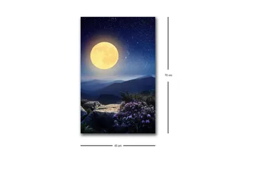 Canvas-taulu LED-valaistuksella - Upea kuu kaukaisen vuoristomaiseman yllä, kukat etualalla - Tummansininen / Keltainen / Violetti - Sisustustuotteet - Taulu & taide - Canvas-taulu
