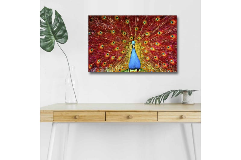 Canvas-taulu LED-valaistuksella - Upea riikinkukko hajallaan olevilla höyhenillä kirkkaissa väreissä - Punainen / Sininen / Vihreä - Sisustustuotteet - Taulu & taide - Canvas-taulu
