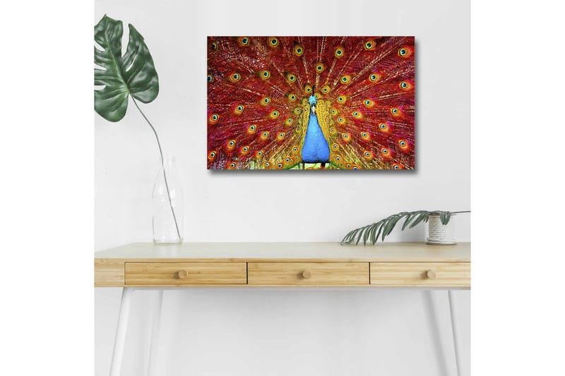 Canvas-taulu LED-valaistuksella - Upea riikinkukko hajallaan olevilla höyhenillä kirkkaissa väreissä - Punainen / Sininen / Vihreä - Sisustustuotteet - Taulu & taide - Canvas-taulu