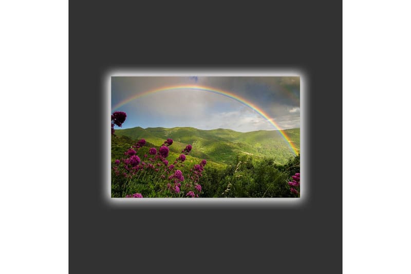 Canvas-taulu LED-valaistuksella - Värikäs sateenkaari vihreiden vuorten ja kukkien yllä - Vihreä / Violetti / Sininen - Sisustustuotteet - Taulu & taide - Canvas-taulu