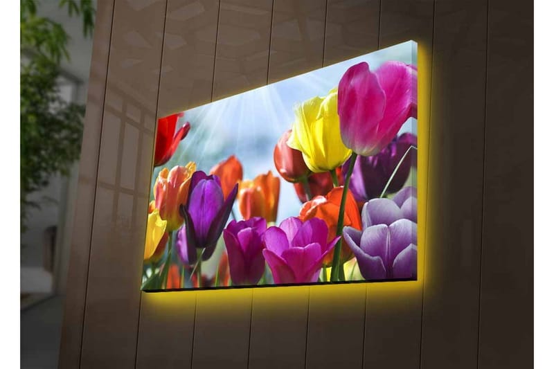 Canvas-taulu LED-valaistuksella - V ärikäs tulppaanikimppu - Violetti / Punainen / Keltainen - Sisustustuotteet - Taulu & taide - Canvas-taulu