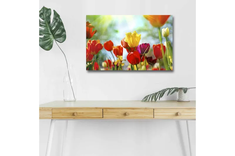 Canvas-taulu LED-valaistuksella - Värikäs tulppaanikimppu, Punainen / Keltainen / Violetti