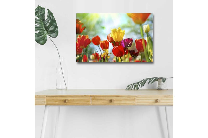 Canvas-taulu LED-valaistuksella - Värikäs tulppaanikimppu, Punainen / Keltainen / Violetti